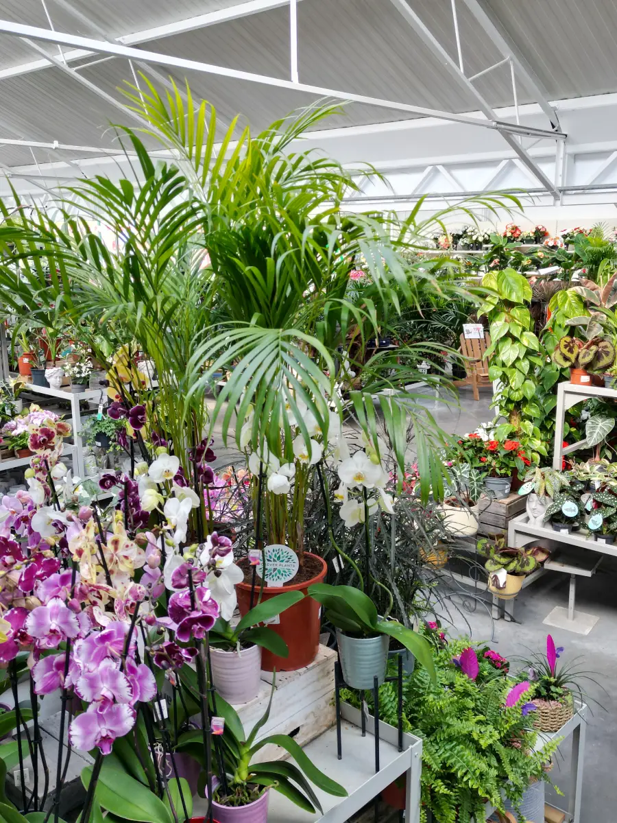 Interieur saisons