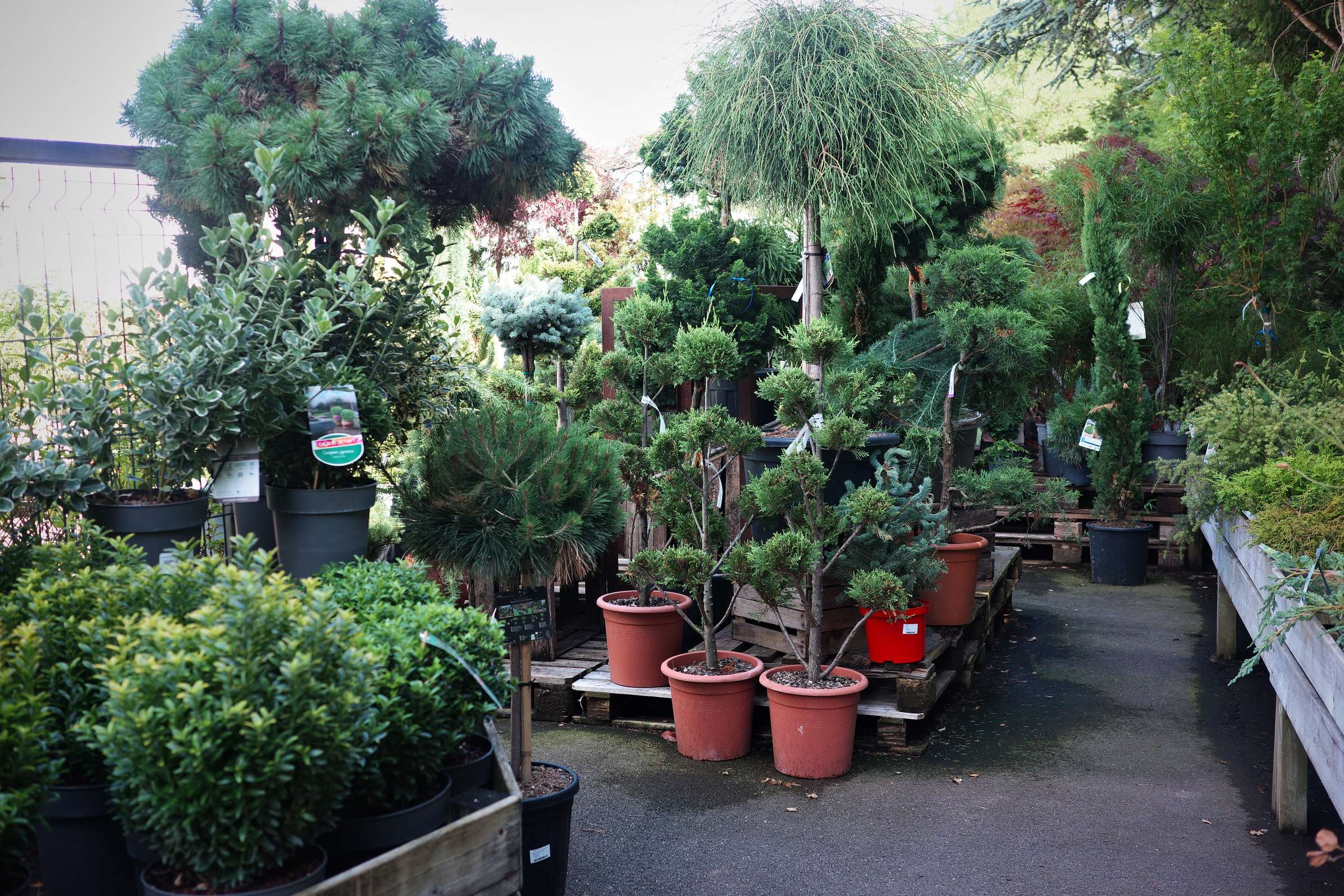 Tous au jardin 10 Tous au jardin 10
