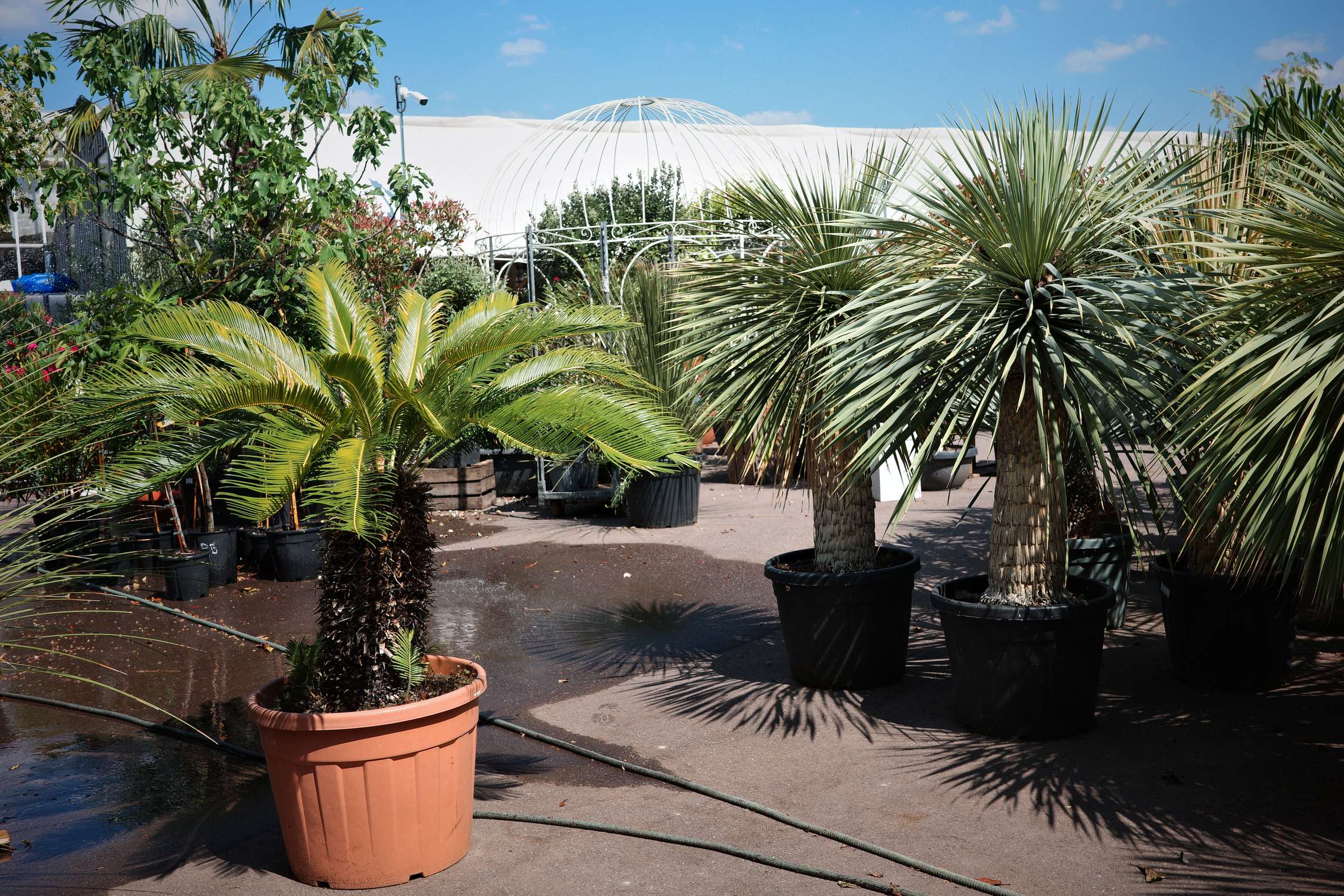 Tous au jardin 11 Tous au jardin 11