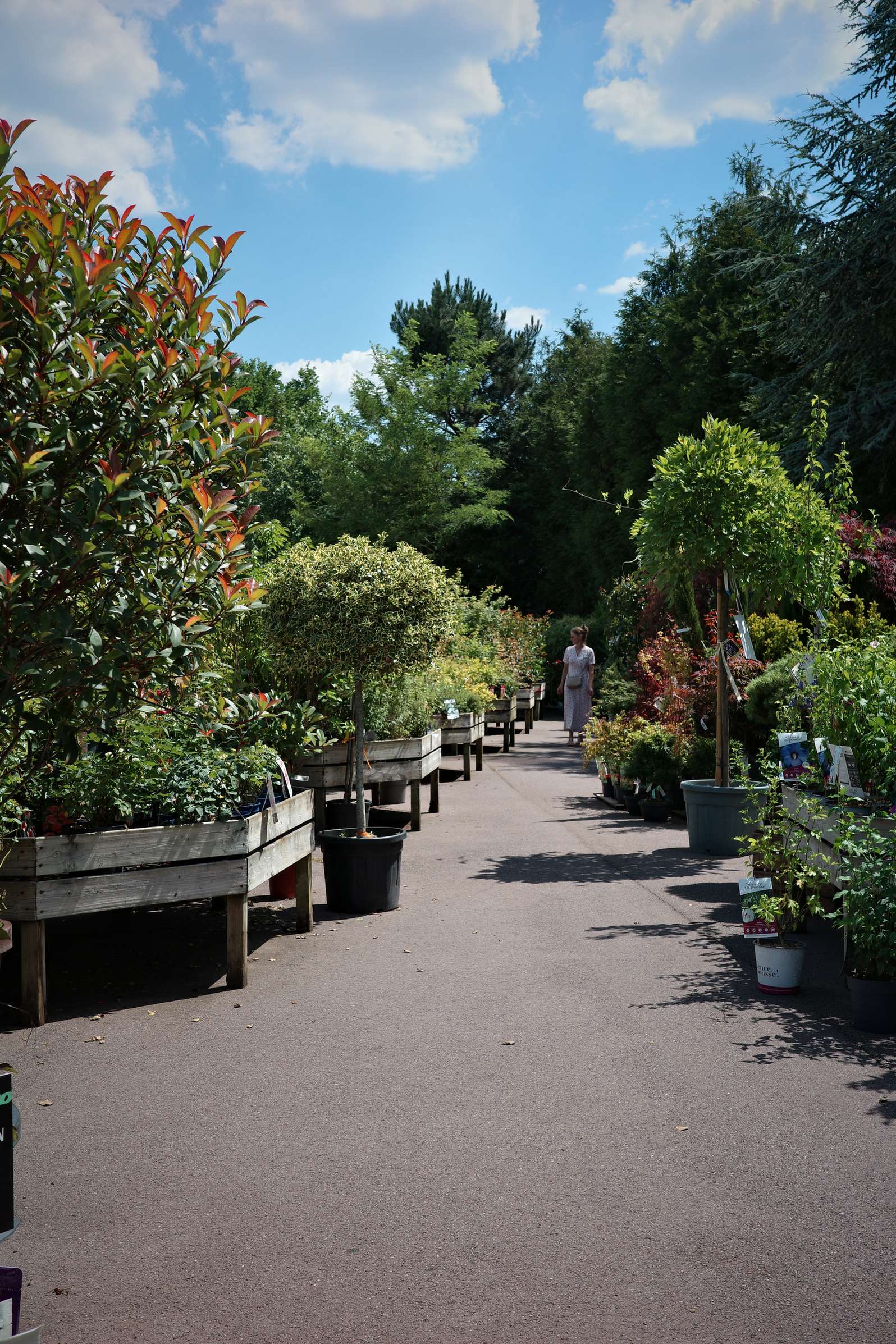 Tous au jardin 12 Tous au jardin 12