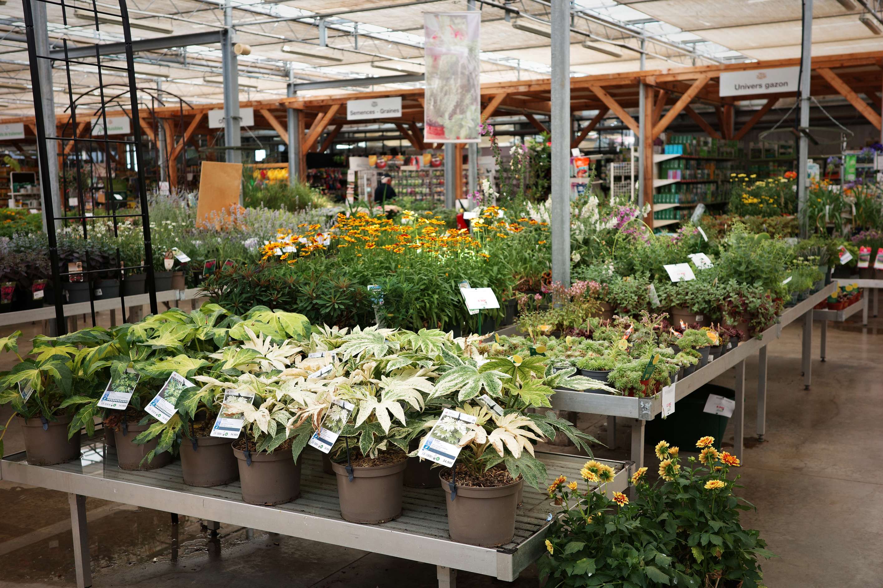 Tous au jardin 15 Tous au jardin 15