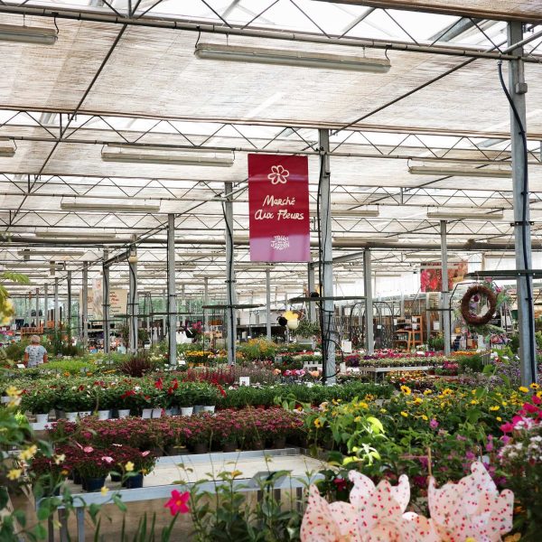Tous au jardin 2