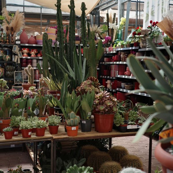Tous au jardin 3