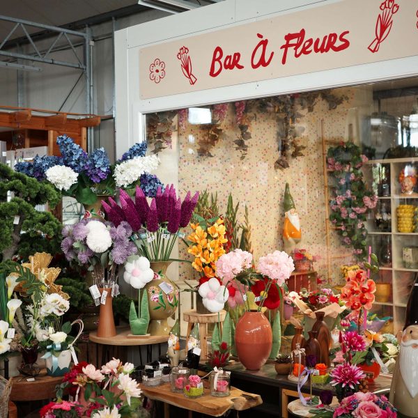 Tous au jardin 4