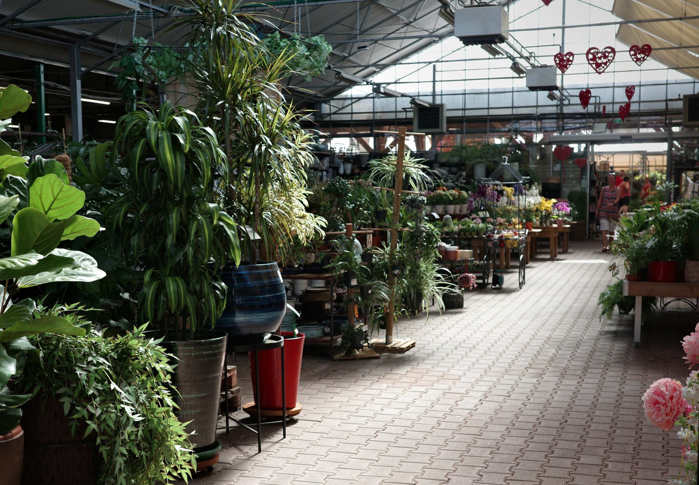 Tous au jardin 49