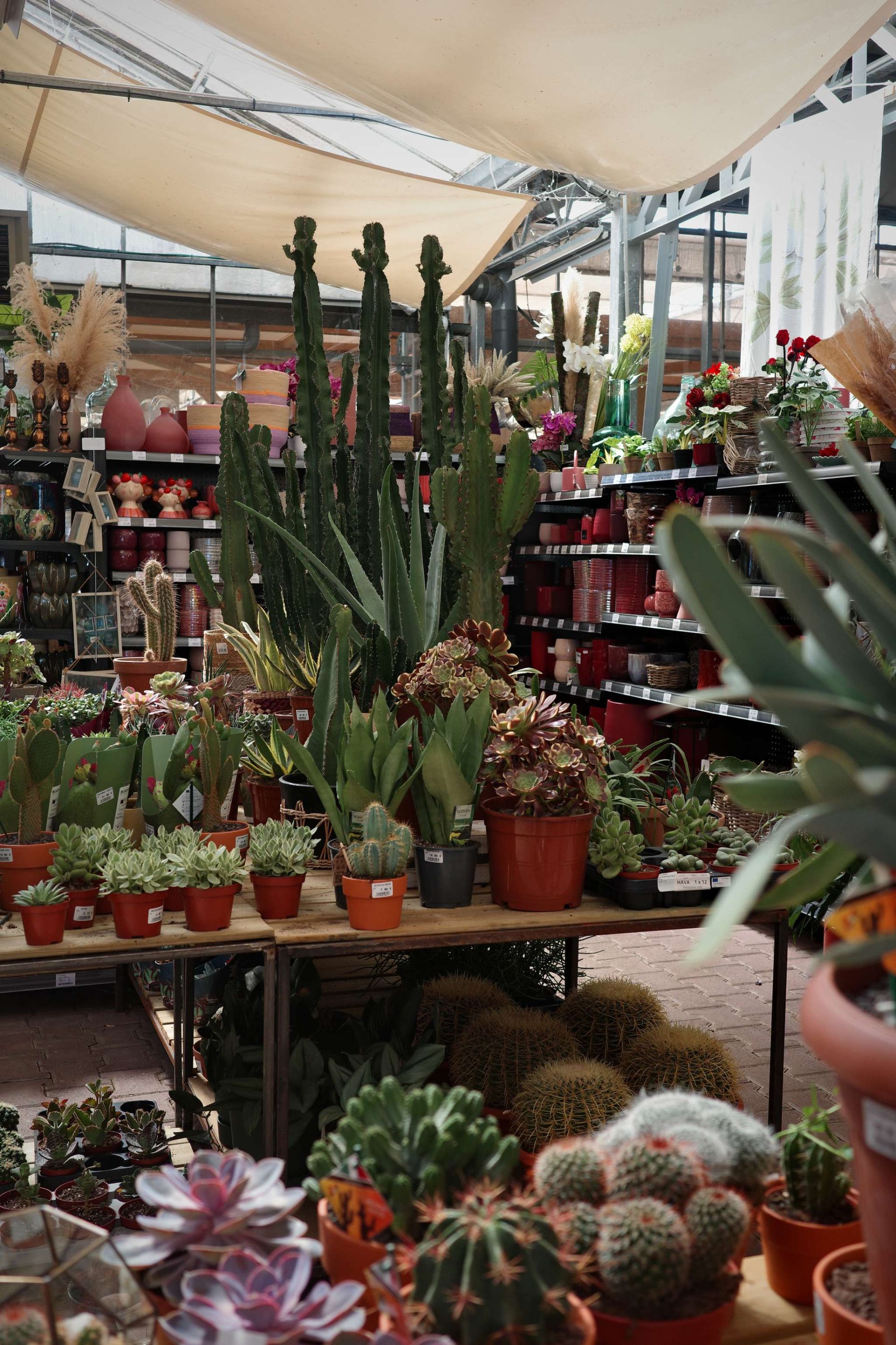 Tous au jardin 50