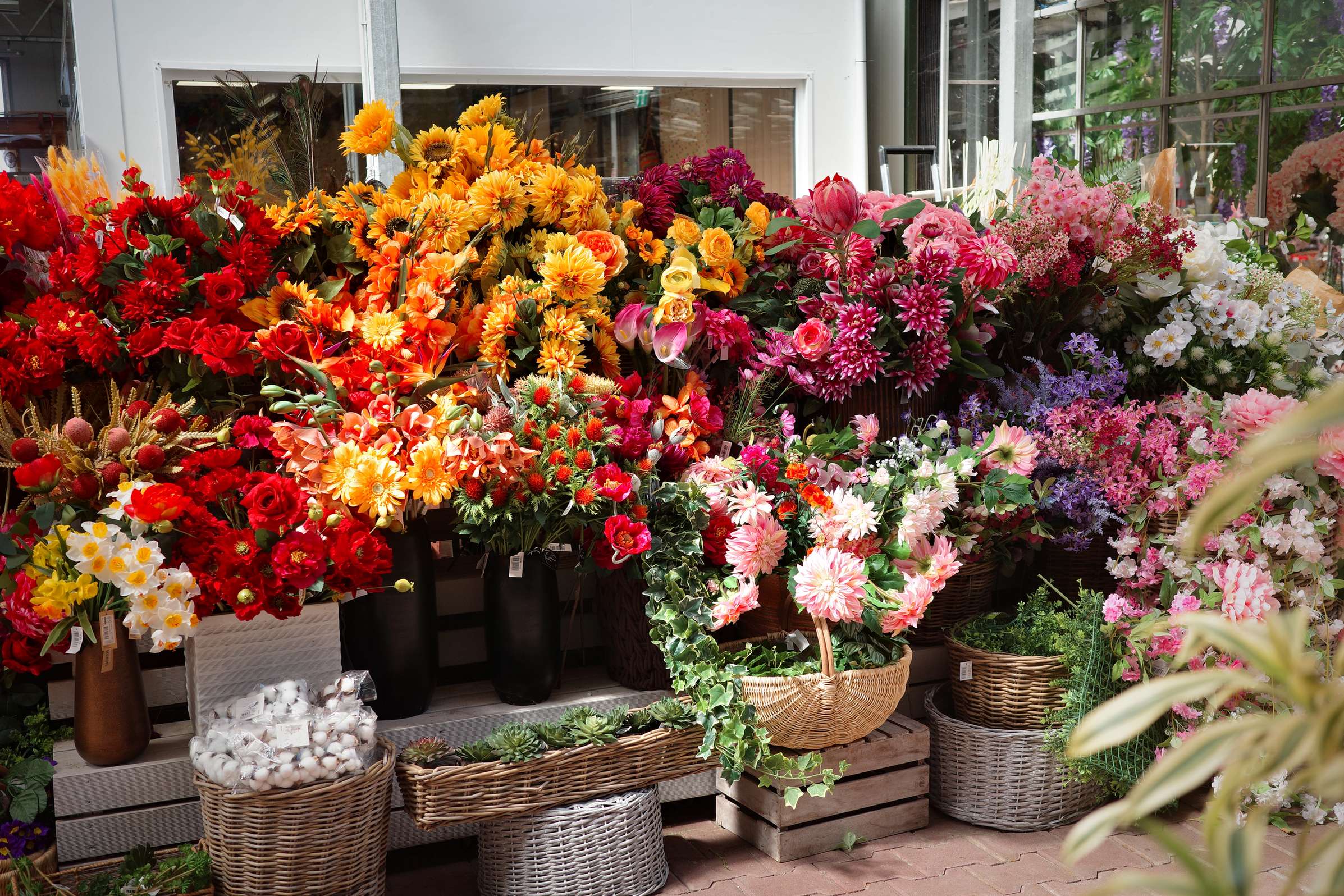 Tous au jardin 62